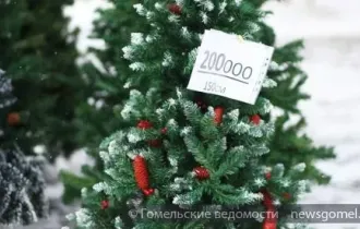 Фото: Около 1 тыс. елочных базаров будут работать в Беларуси