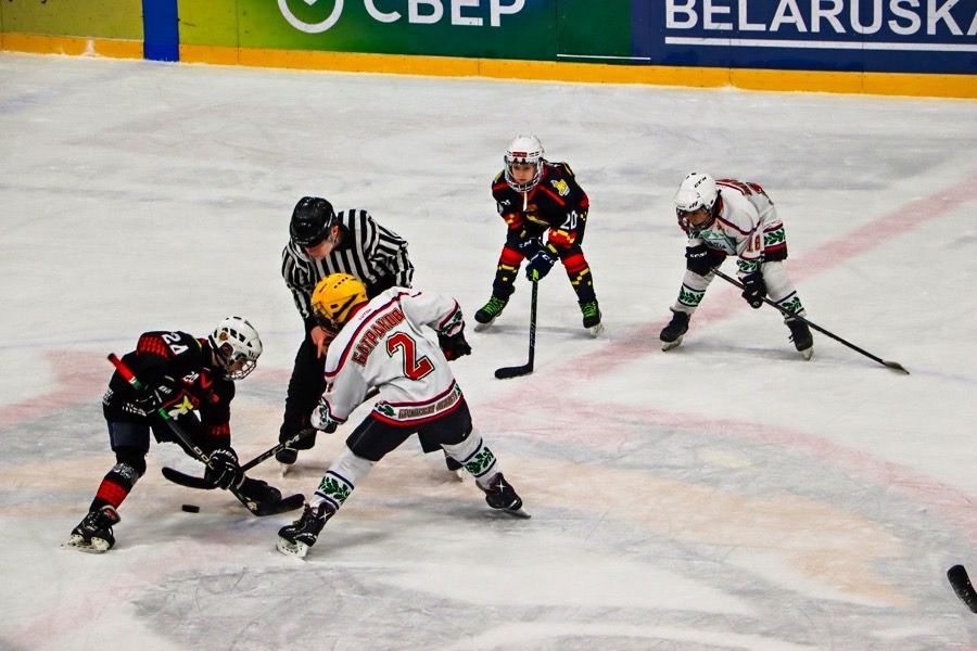 Фото: Гомельские хоккеисты вышли в финал, одержав победу над Стародубом