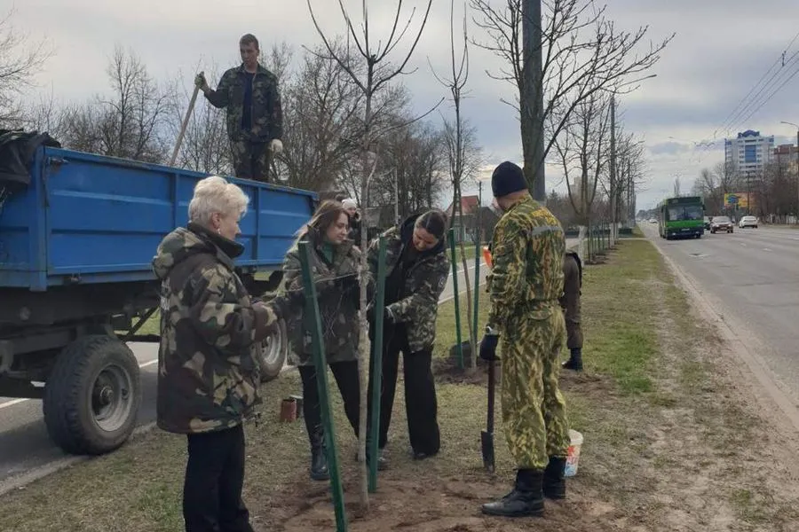 Фото: В Новобелицком районе высадили молодые деревья